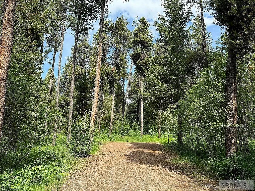 1597 Annies Landing, ASHTON, Idaho image 22