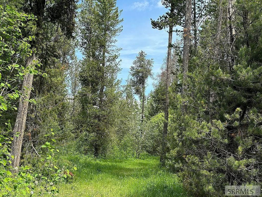 1597 Annies Landing, ASHTON, Idaho image 10