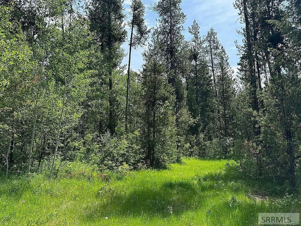 1597 Annies Landing, ASHTON, Idaho image 9