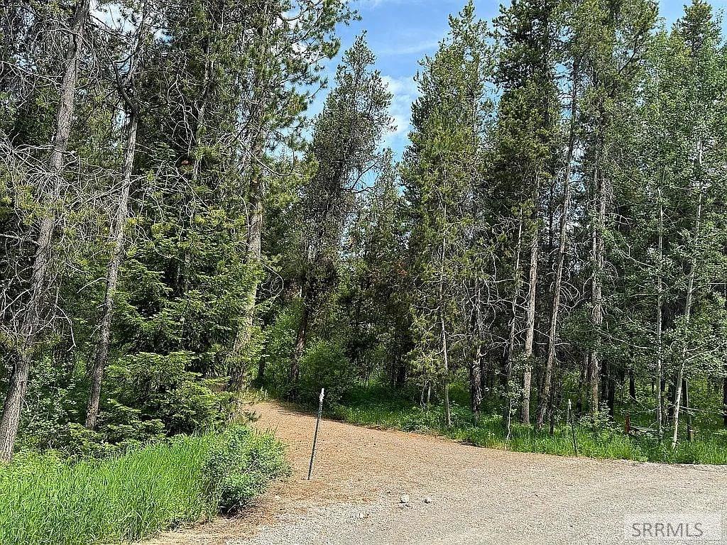 1597 Annies Landing, ASHTON, Idaho image 4