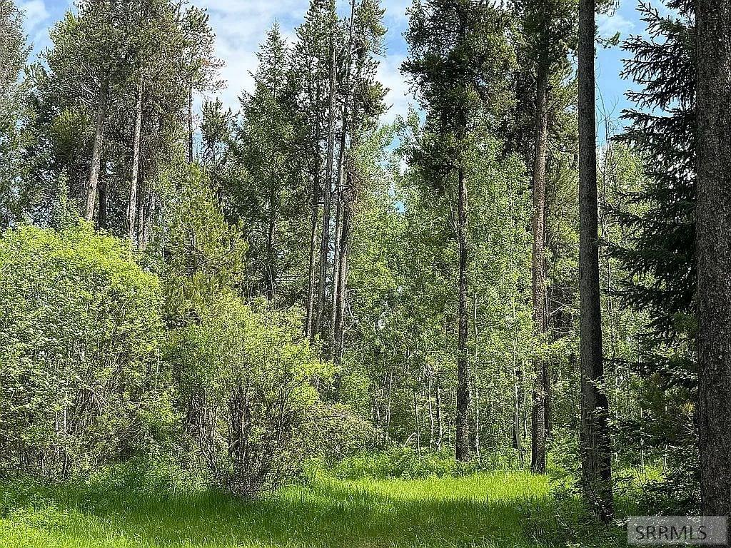 1597 Annies Landing, ASHTON, Idaho image 11
