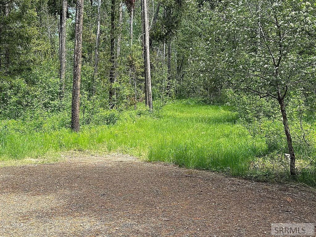 1597 Annies Landing, ASHTON, Idaho image 6