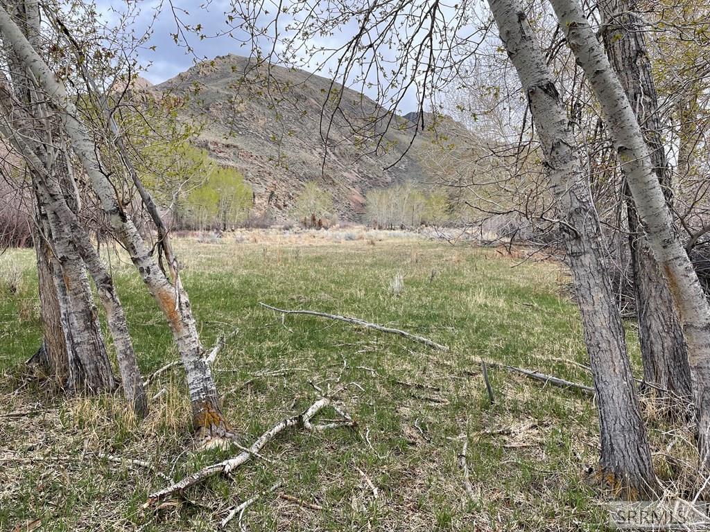 Lot345 Rivers Edge Rd, CHALLIS, Idaho image 4