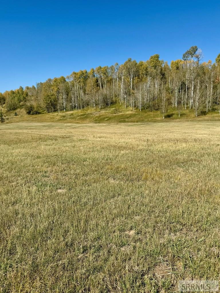 4051 Golden Stone Lane, ASHTON, Idaho image 21