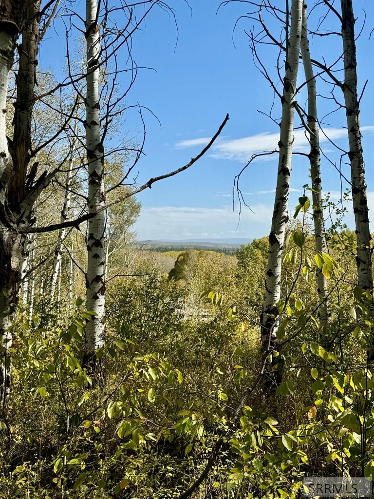 4051 Golden Stone Lane, ASHTON, Idaho image 18