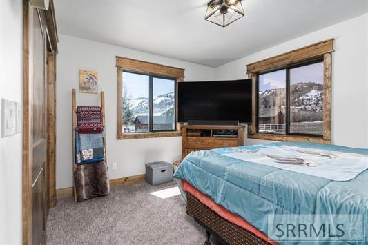 6217 N Nounan Road, MONTPELIER, Idaho image 28