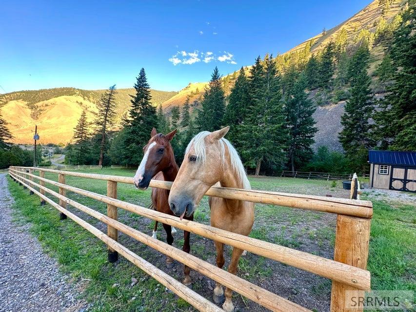 37 Canyon View Road, SALMON, Idaho image 9