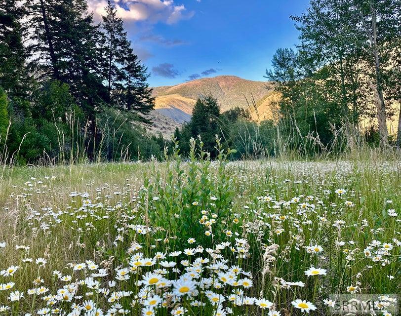 37 Canyon View Road, SALMON, Idaho image 10