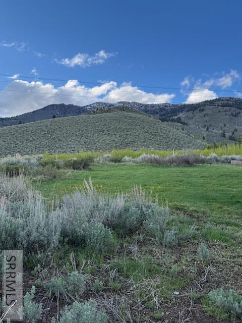 3885 Teton Road, ISLAND PARK, Idaho image 4