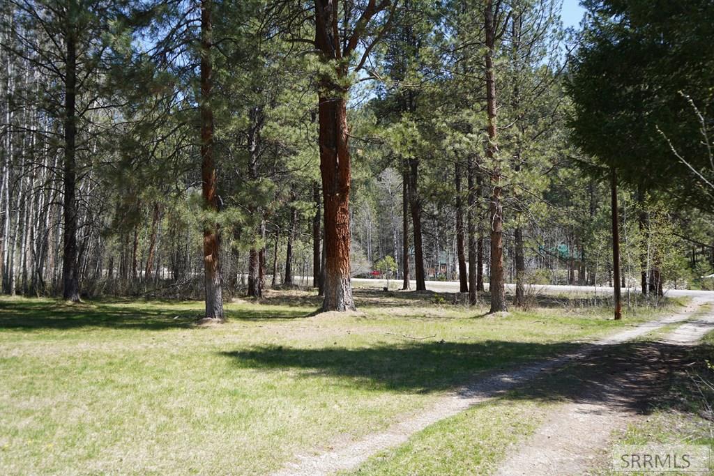 3036 Hwy 93, GIBBONSVILLE, Idaho image 3