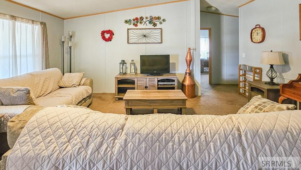 3137 W 2500 N, ARCO, Idaho image 18