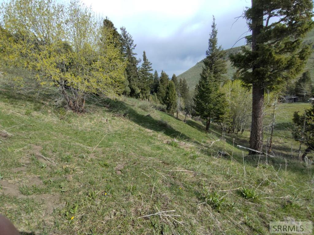 13211 Baldy Mountain Road, LAVA HOT SPRINGS, Idaho image 19