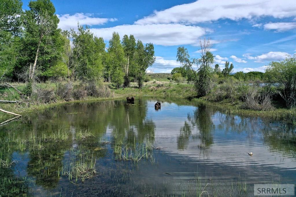 TBD N 2750 E, NEWDALE, Idaho image 5
