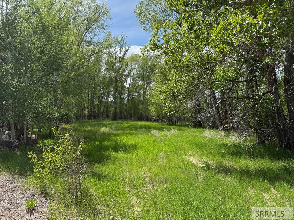 TBD N 2750 E, NEWDALE, Idaho image 11