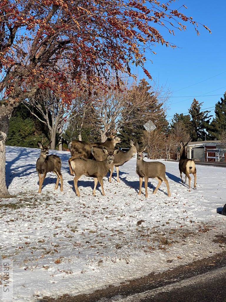 311 Skyline Drive, POCATELLO, Idaho image 31