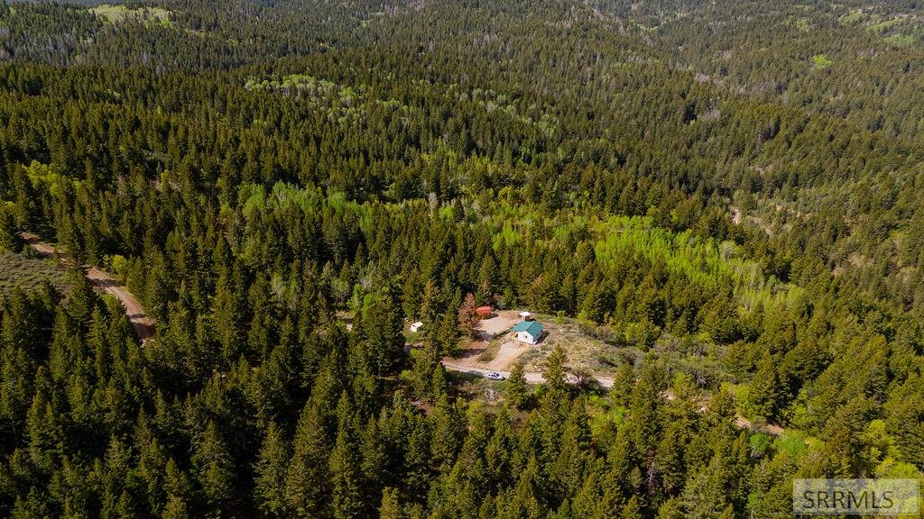 53 Squaw Creek Road, BANCROFT, Idaho image 3