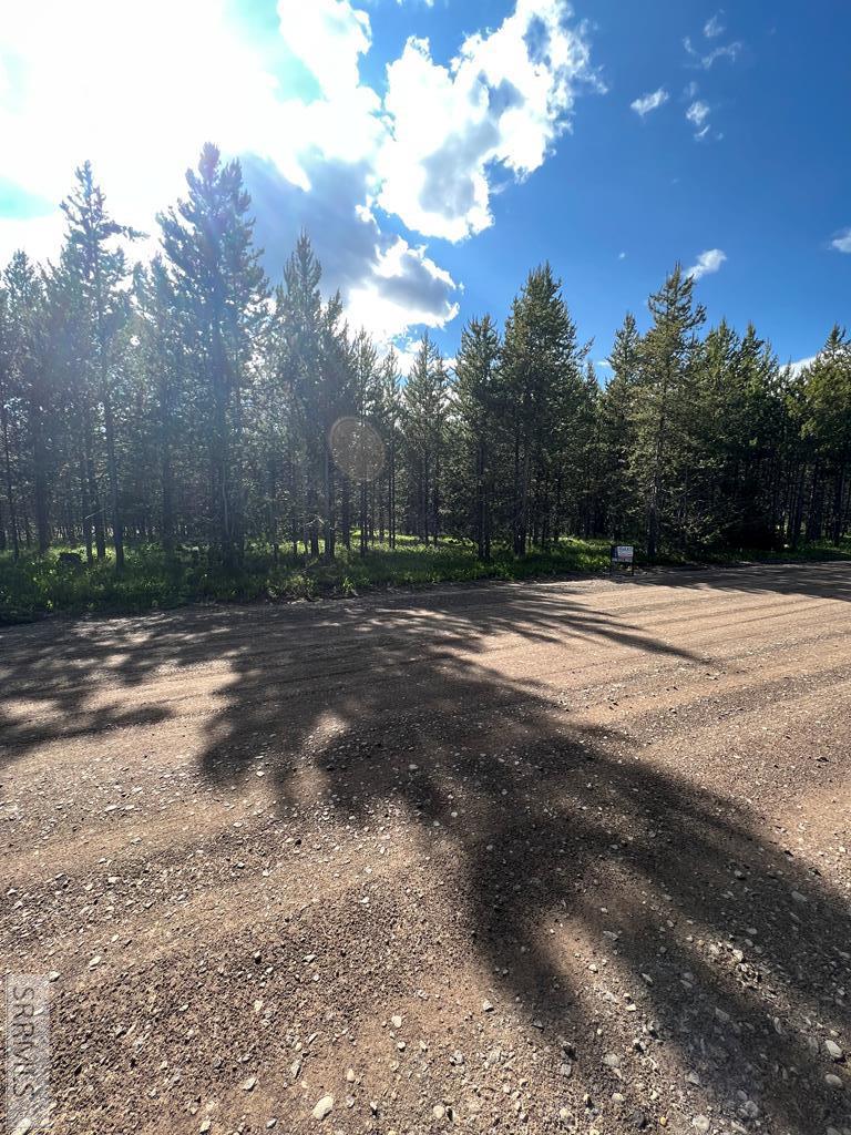 4513 Jm Loop, ISLAND PARK, Idaho image 1