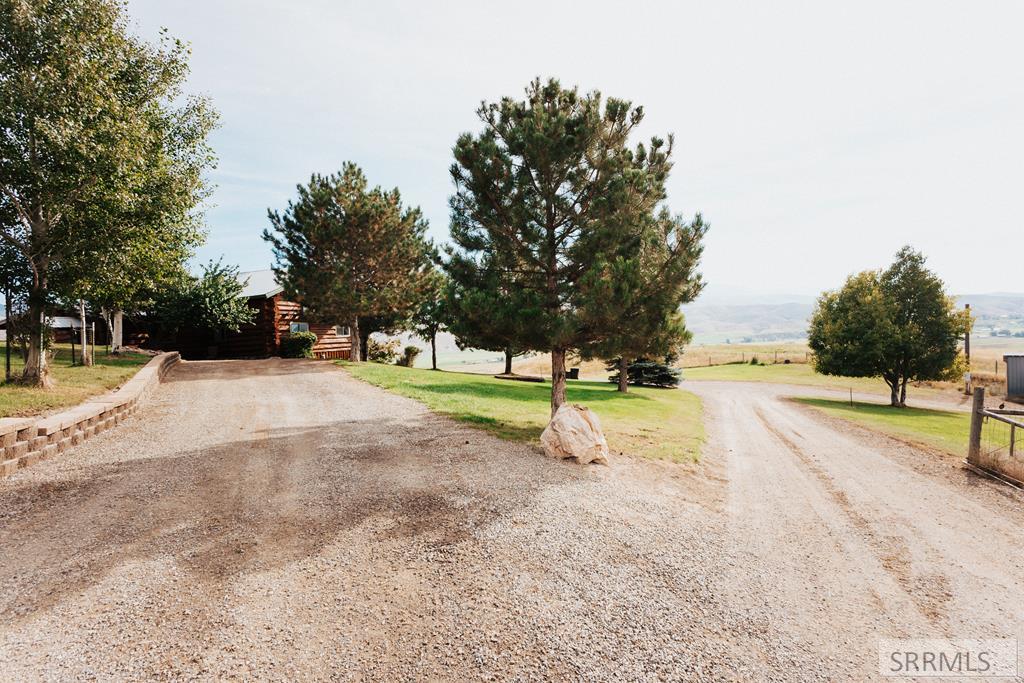 59 Savage Ranch Road, SALMON, Idaho image 5