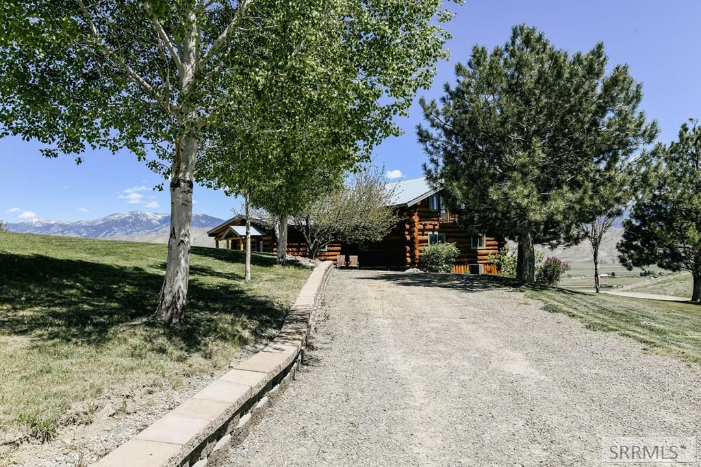 59 Savage Ranch Road, SALMON, Idaho image 4