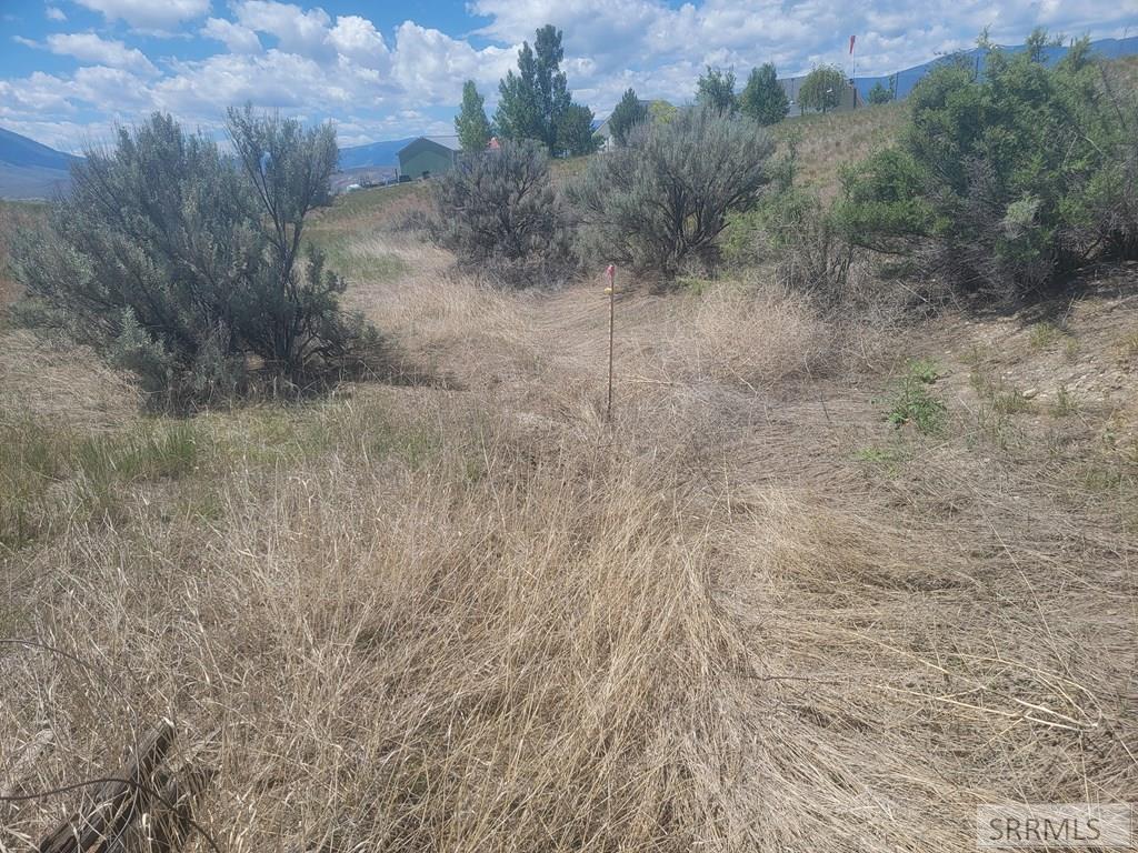 TBD Lark Avenue, SALMON, Idaho image 18