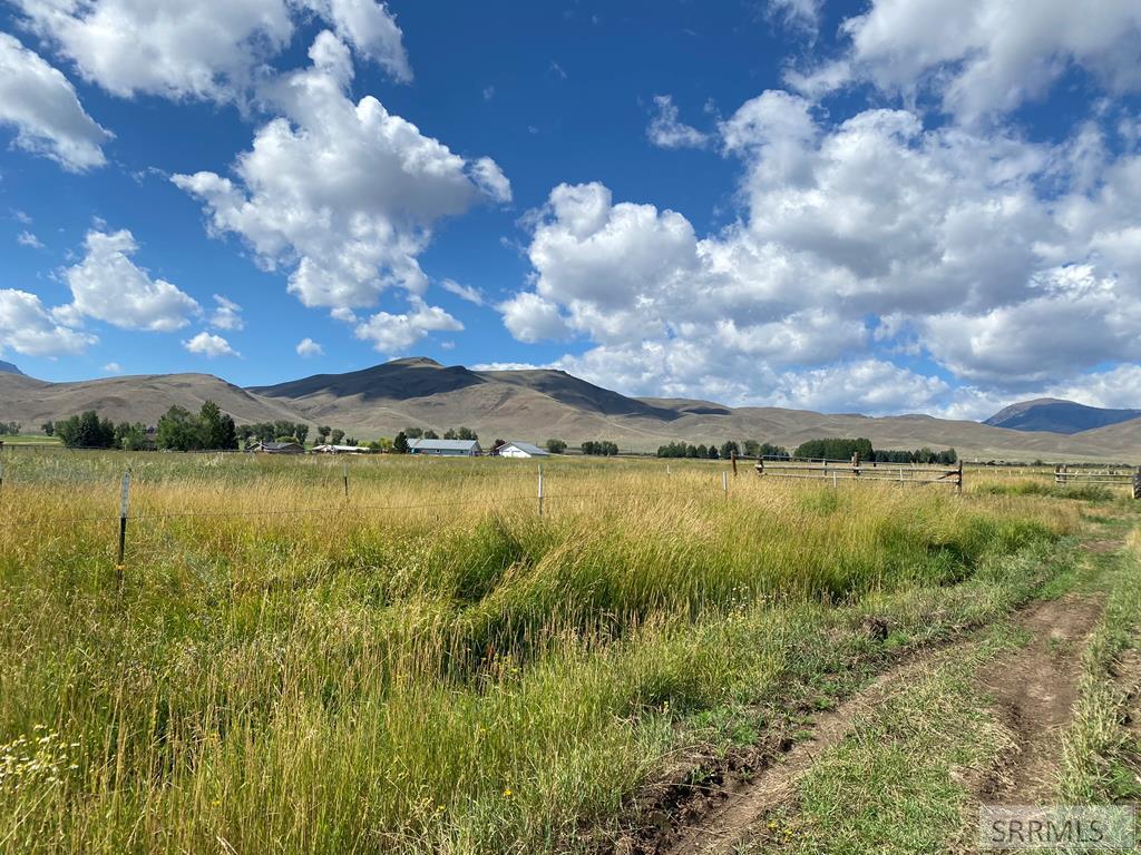 2651 Challis Creek Road, CHALLIS, Idaho image 35