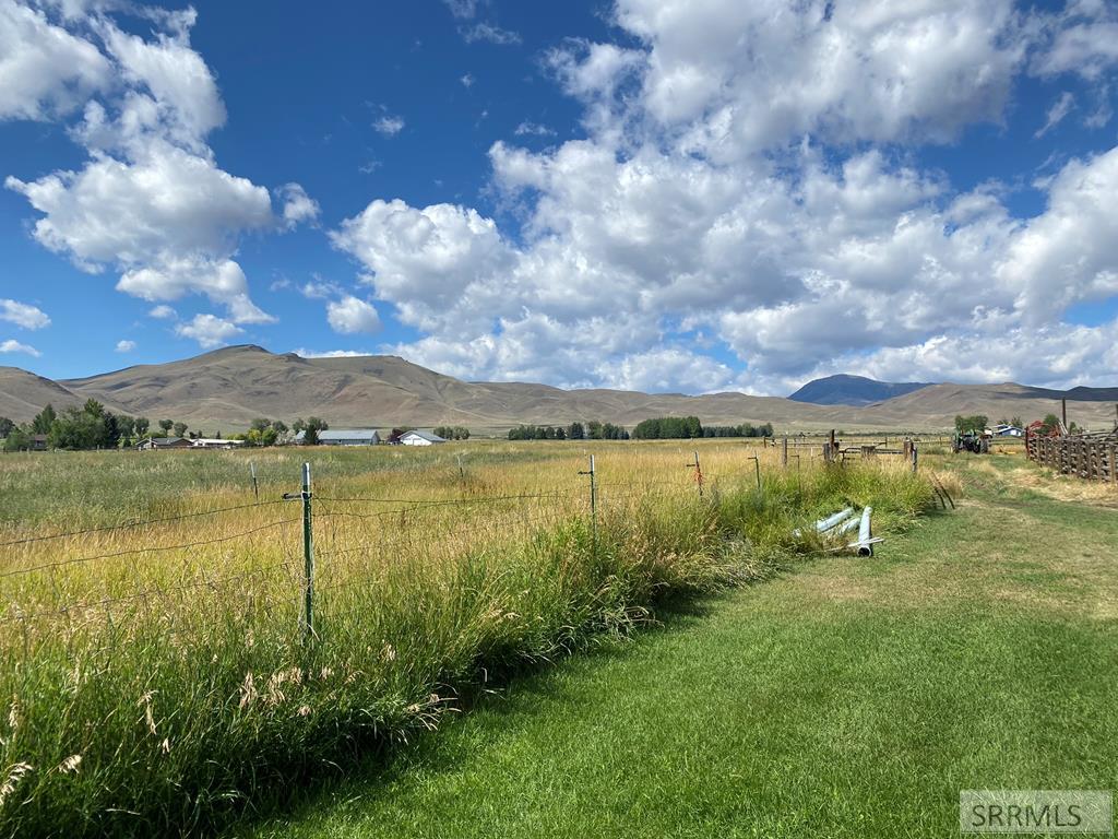 2651 Challis Creek Road, CHALLIS, Idaho image 2