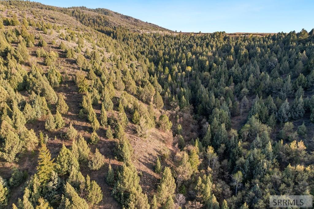 TBD Chatterton Rd, ARIMO, Idaho image 16