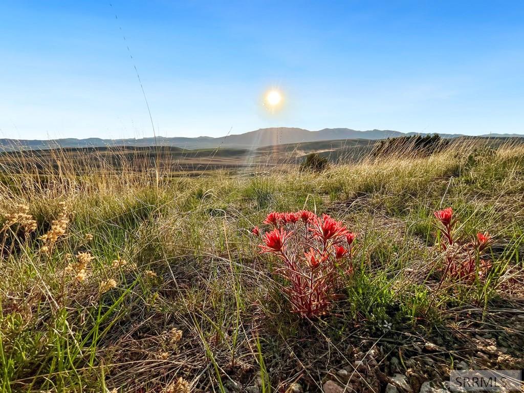 TBD Chatterton Rd, ARIMO, Idaho image 27