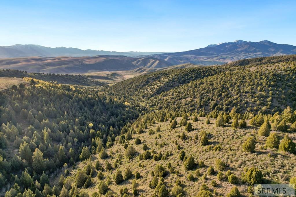 TBD Chatterton Rd, ARIMO, Idaho image 21
