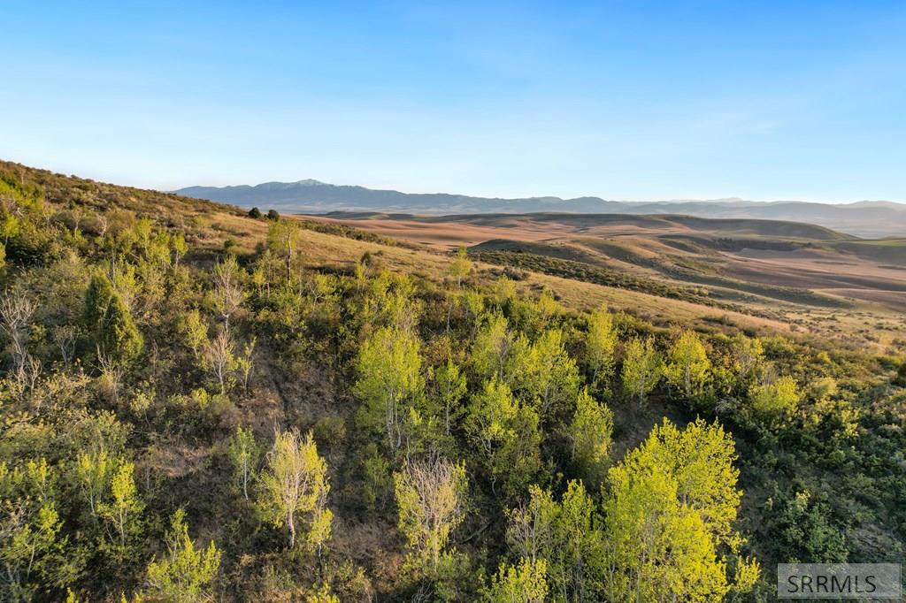 TBD Chatterton Rd, ARIMO, Idaho image 5