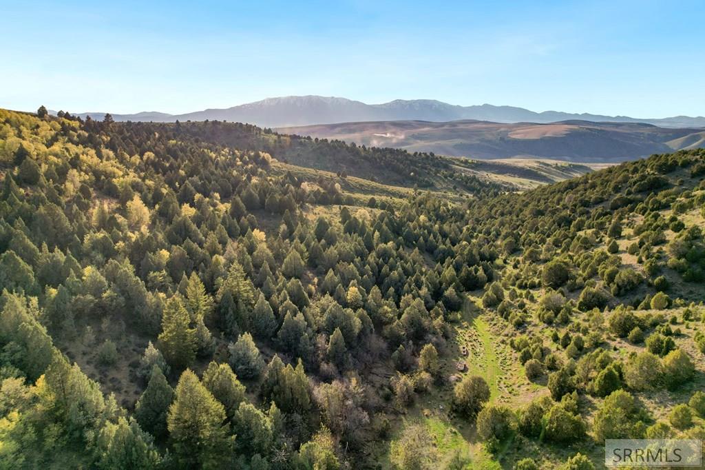 TBD Chatterton Rd, ARIMO, Idaho image 18