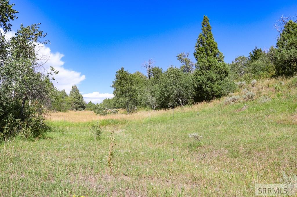 1780 Sadorus Hill Road, ASHTON, Idaho image 18