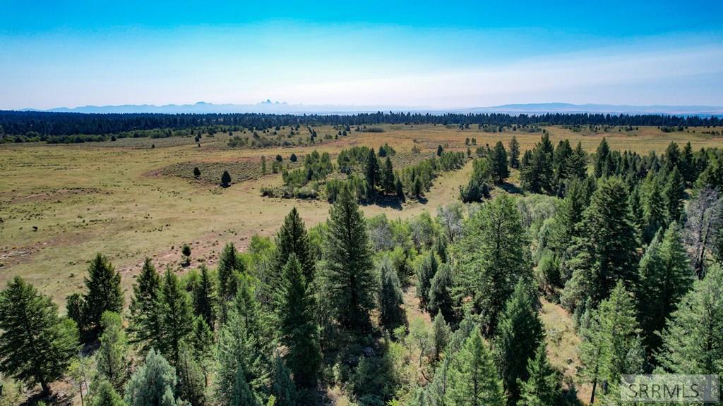 1780 Sadorus Hill Road, ASHTON, Idaho image 9