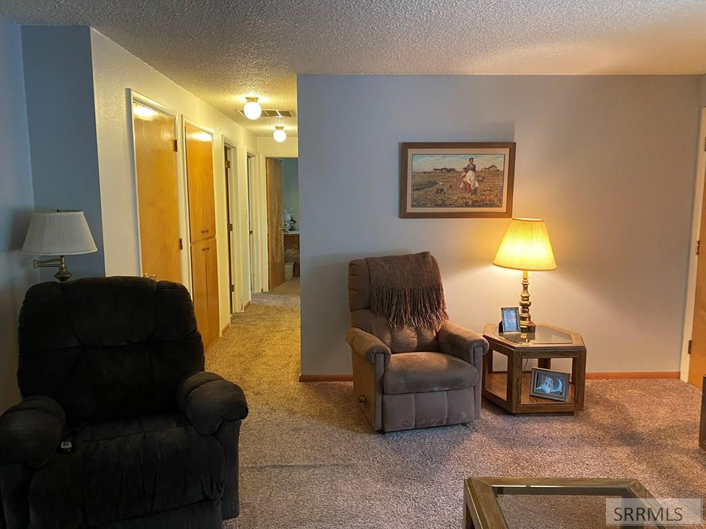 96 Valley View Lane, CHALLIS, Idaho image 15