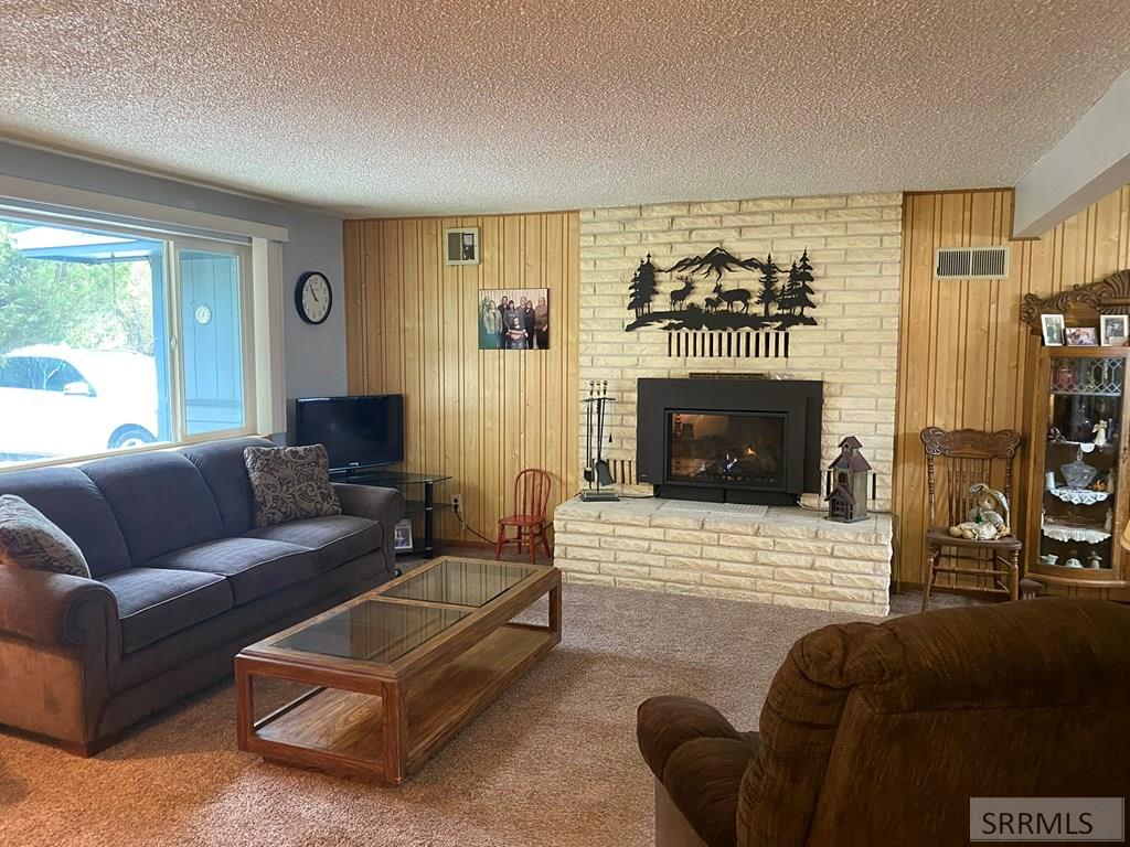 96 Valley View Lane, CHALLIS, Idaho image 4