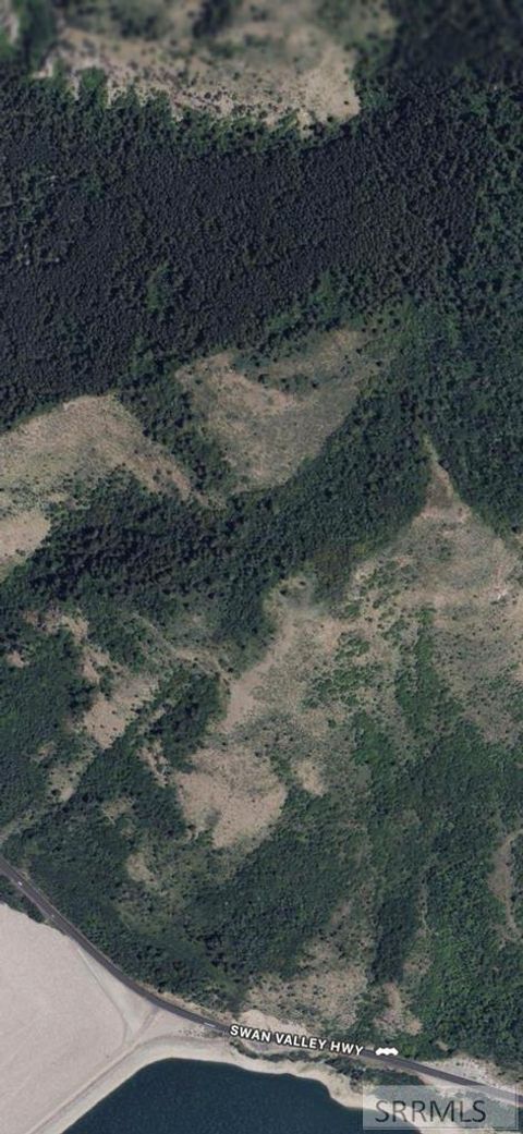 Photo of TBD Swan Valley Hwy, IRWIN, ID 83428 (MLS # 2181048)