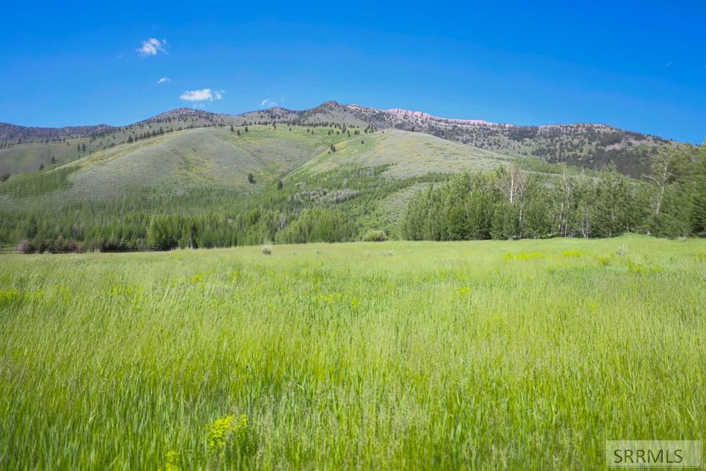 TBD Hwy 87, ISLAND PARK, Idaho image 13