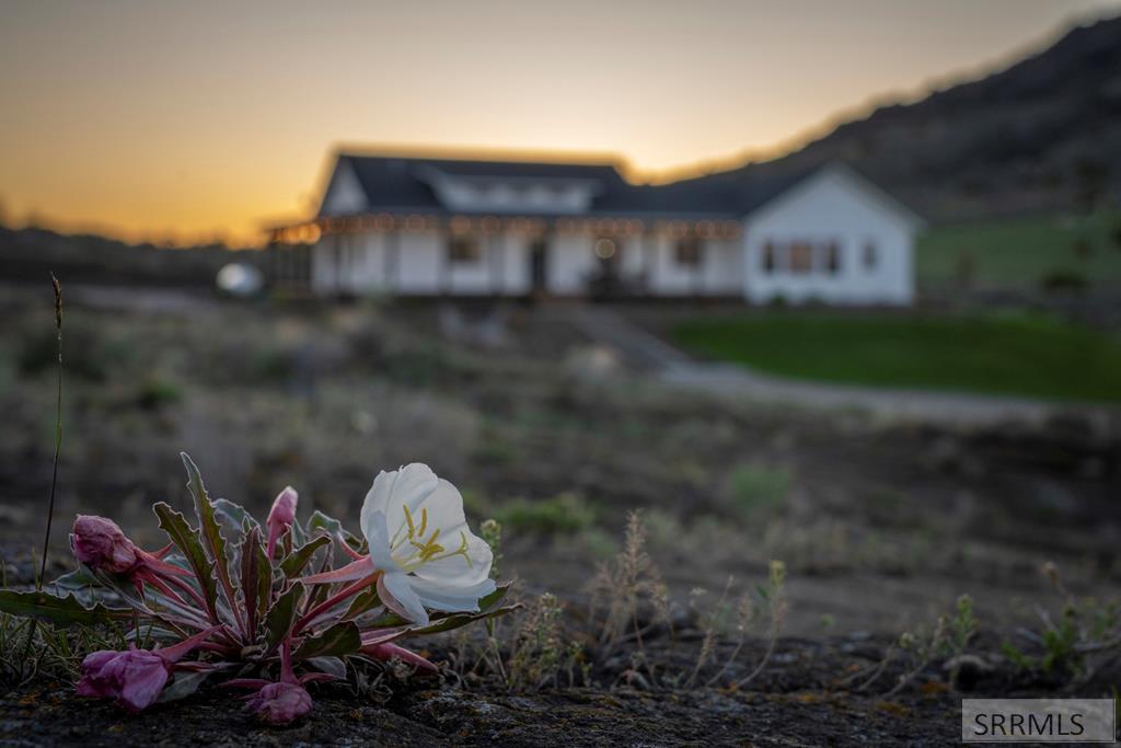 1032 E Butte Road, MENAN, Idaho image 8