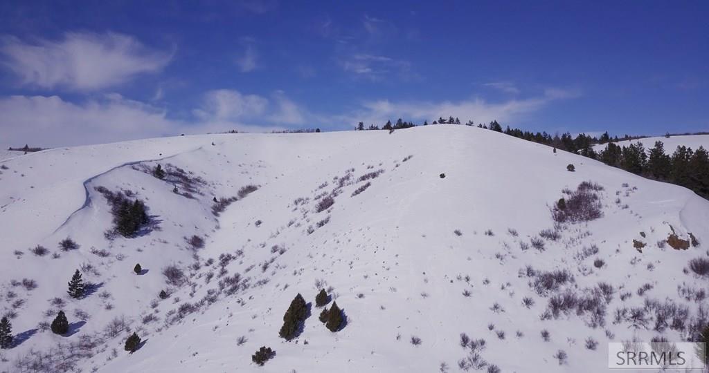 TBD Kelly Canyon Road, RIRIE, Idaho image 4