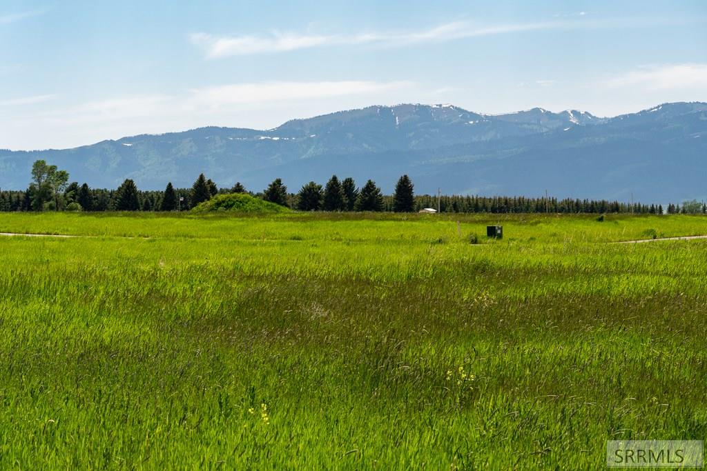 1570 Larsen Lane, DRIGGS, Idaho image 12