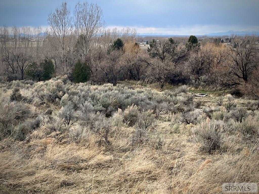 NNA 1290 E, FIRTH, Idaho image 8