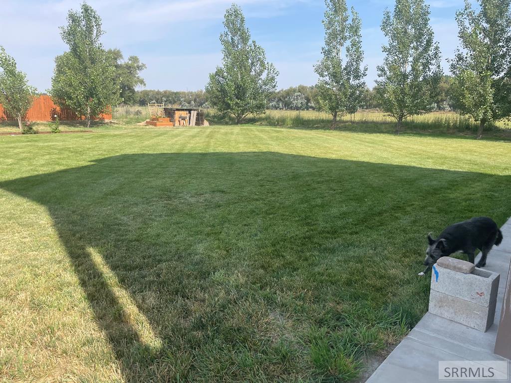 373 N 3800 E, RIGBY, Idaho image 41