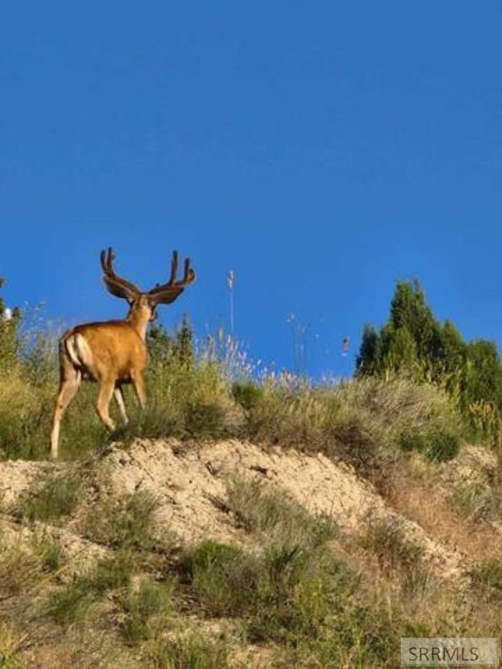 2740 Via Valdarno, POCATELLO, Idaho image 38