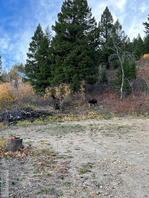 Vacant Land For Sale - 5166 Mountain Drive<br/> ISLAND PARK, ID 83429