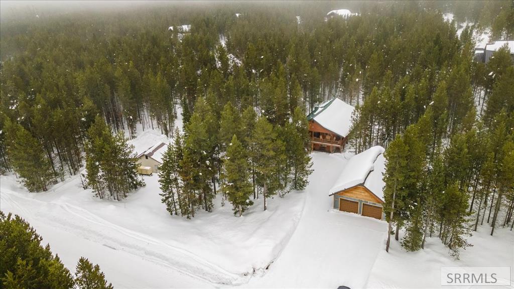 4128 Sawtelle Peak Road, ISLAND PARK, Idaho image 42