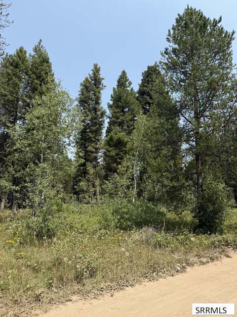 Photo of 2781 Sagehen Dr, ISLAND PARK, ID 83429 (MLS # 2188370)