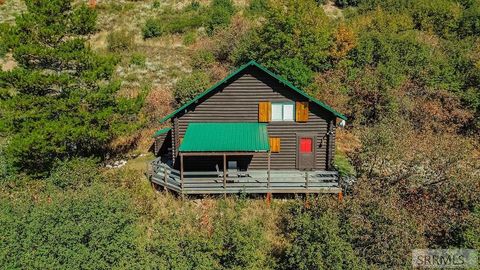 Photo of 607 Shady Lane, IRWIN, ID 83449 (MLS # 2176497)