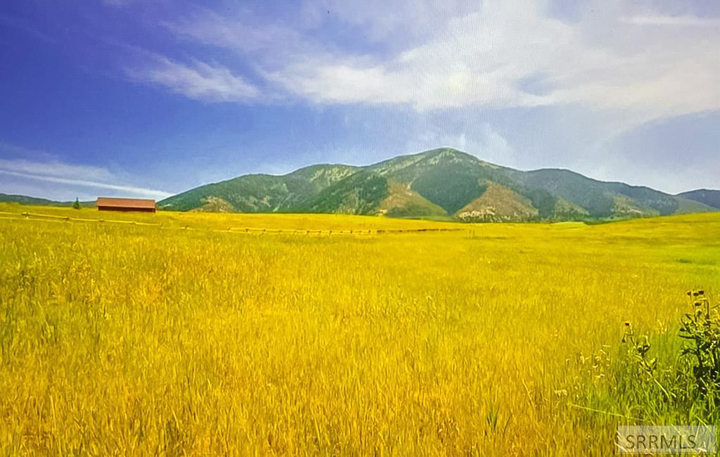 TBD Elk Ridge Drive, SWAN VALLEY, Idaho image 4