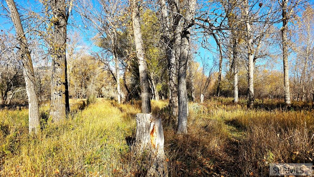 TBD Banta Drive, SALMON, Idaho image 19