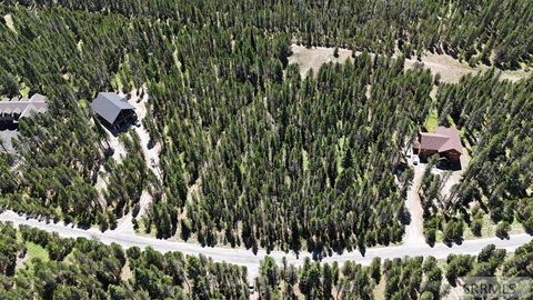 Photo of 3632 Sparrow Hawk Drive, ISLAND PARK, ID 83429 (MLS # 2181000)